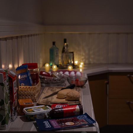 Willa Lyngen Aurora House Koppangen Zewnętrze zdjęcie